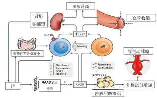 Faker精彩发挥悬念揭晓(faker精彩发挥悬念揭晓的是谁)