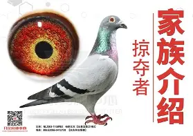 德布劳内悬念迭起赛后发声(瓜迪奥拉谈德布劳内续约曼城)